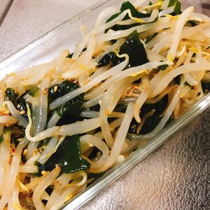 レンジで簡単！もやしとわかめの香味和え